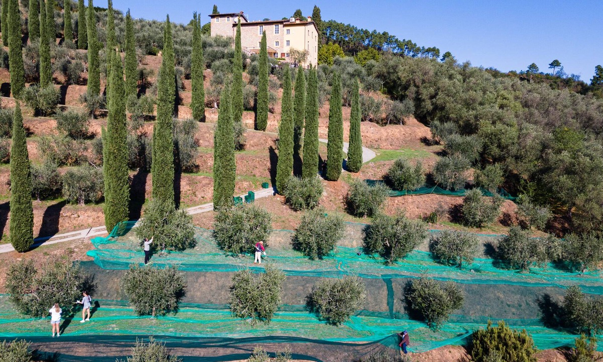 Cascine-La Croce Villa | Luxury Tuscan villa close to Lucca, Pisa & Florence w/stunning saltwater pool