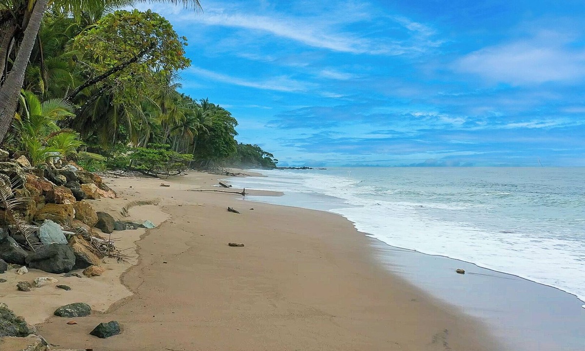Tango Mar Villa | Oceanview Tropical Villa - Pickleball court - Steps from the Beach