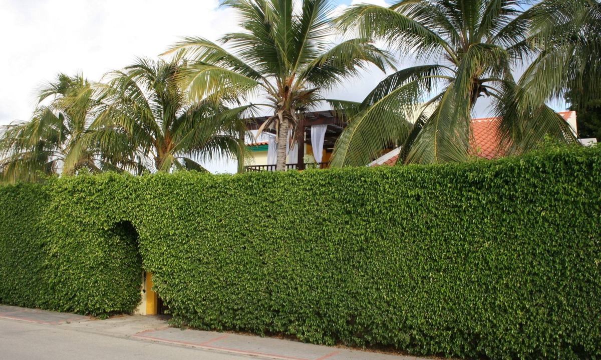 Palm Beach Villa | Secure And Private Villa With Pool/Hot Tub Jacuzzi In Palm Beach Village
