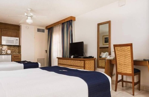 Palm Beach Hotel | 36 m² Hotel ∙ 2 guests