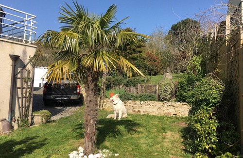 Feucherolles Bed & Breakfast | Chambre Paisible et Central Pour le JO du 26 Juillet au 11 Août. 🐩ok Sociable