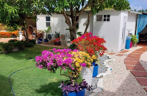 Oranjestad House | Haystack Cozy Cottage near the Haystack in the middle of the island of Aruba