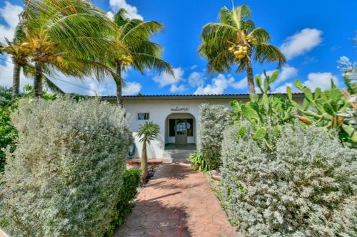 Aloe B&B