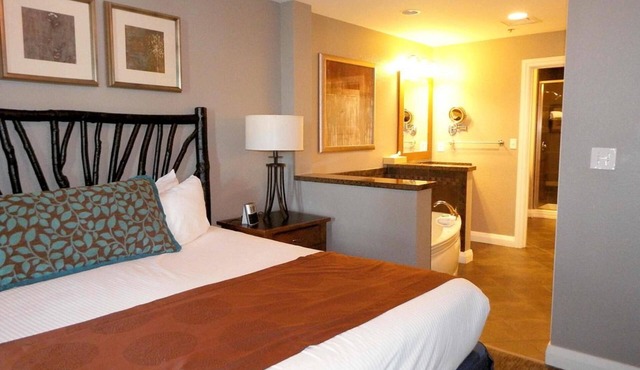 1Bed Deluxe at Great Smokies Lodge! in Sevierville
