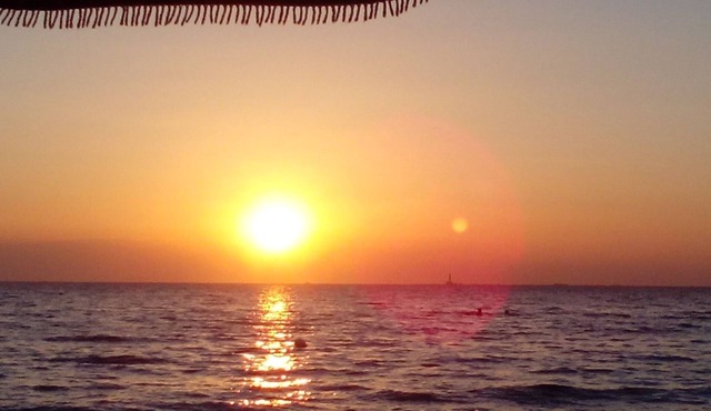 Accommodation at 50 meters. from the sea, 5 minutes from Gallipoli and the Maldives of Salento. in Torre Suda