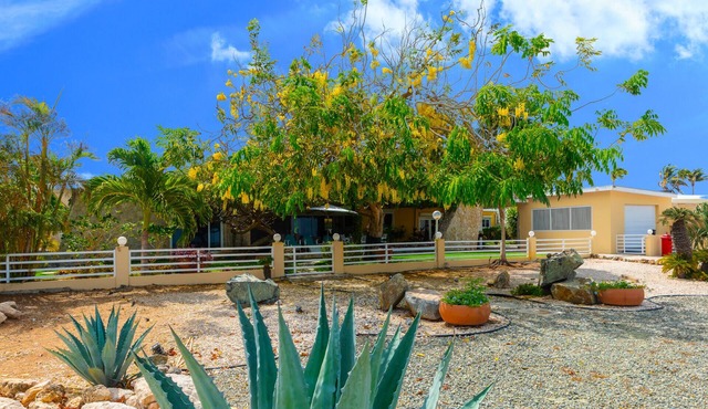 Aruba Oceanfront Villa w/Private Pool