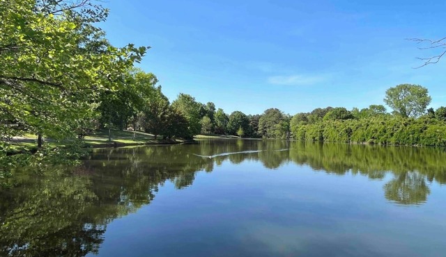Beautiful and Serene 5BR Oasis with Private Pond in Charlotte