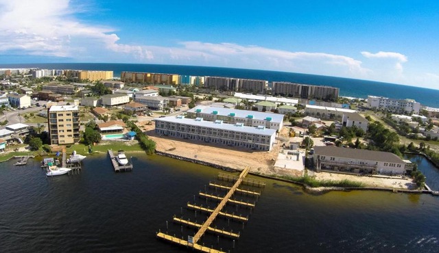 Bluefish is The New Fish Okaloosa Island