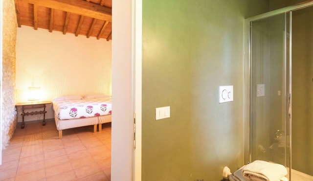 Bright barn vine view in Toscana