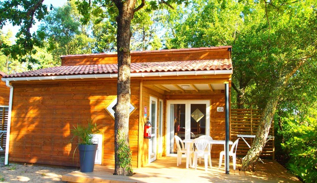 Comfort* "hazelnut" D (sleeps 4)