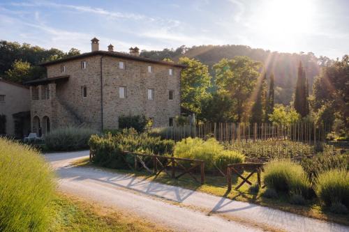 Cuprena in Arezzo