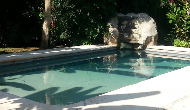 Eco Friendly Spacious Caribbean House with private pool. in Cahuita