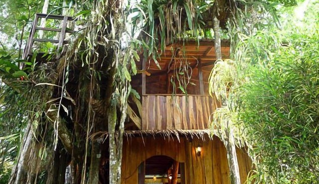 Enchanted Tree House experience with all the comforts! in Cahuita