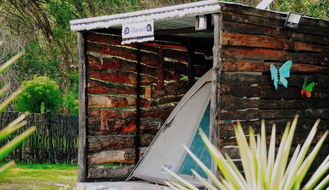 Flow @ Tides Glamping is a secluded glamping retreat surrounded by trees.