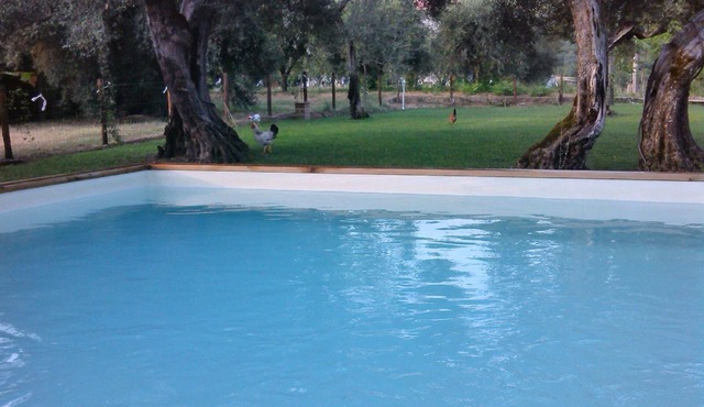 Holiday apartment Oscano for 1 - 4 persons with 1 bedroom - Holiday house in Oscano