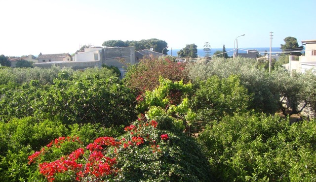 In Sicilian Casuzza. Wonderful apartment 5 minutes from the sea in Sant'andrea Bonagia valderice