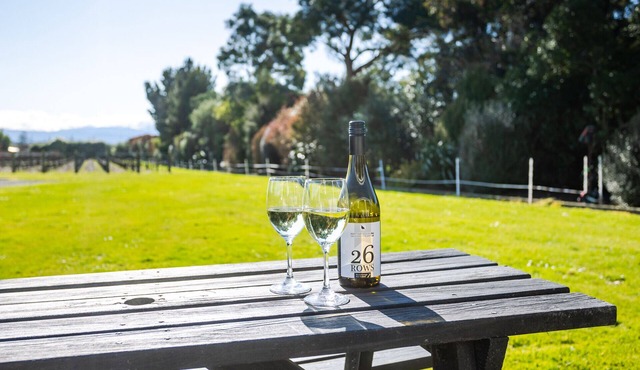 Luxury Accomodation on 26Rows Vineyard. in Martinborough