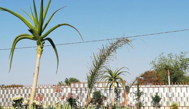 Masane Lodge in Rustenburg