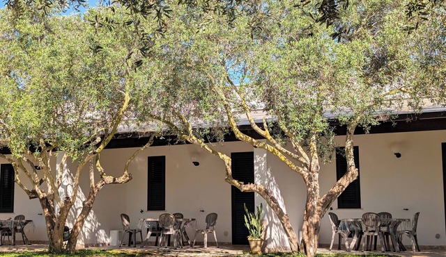 Mini cottages surrounded by nature
