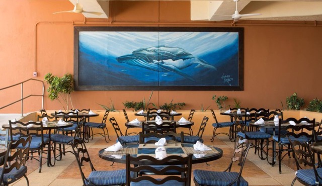 Modern Studio Getaway with Beachside Charm in San José del Cabo