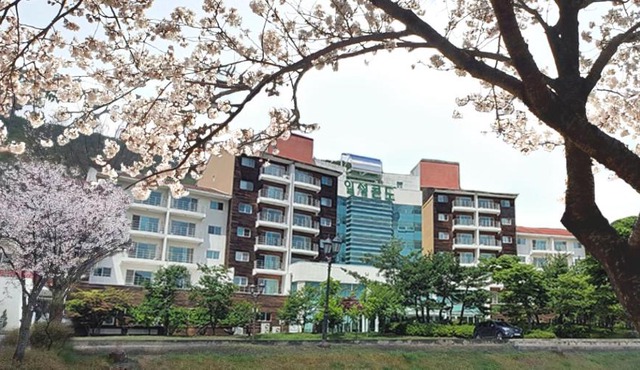Muju Ilsung Condo
