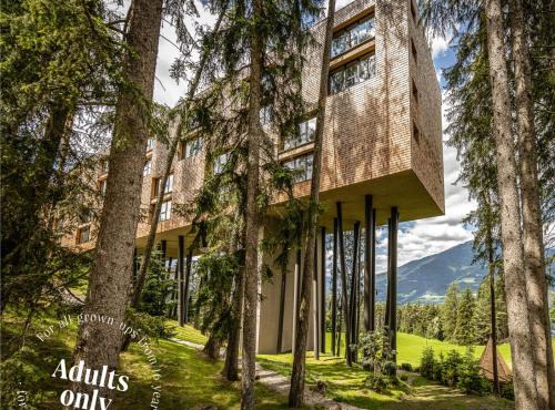 My Arbor - Dolomites