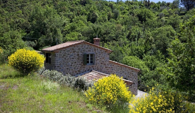 Olivetani - Six Bedroom Villa, Sleeps 11