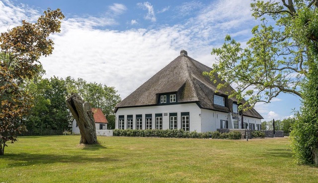 Peaceful Farmstay with Terrace in De Cocksdorp Texel