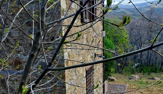 Podere Frassinelli, casa nel bosco in Arcidosso