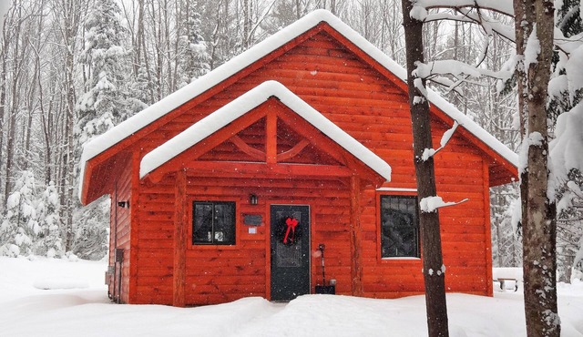 Private pet-friendly cabin in the woods w/private campfire pit & screened porch in Ripton
