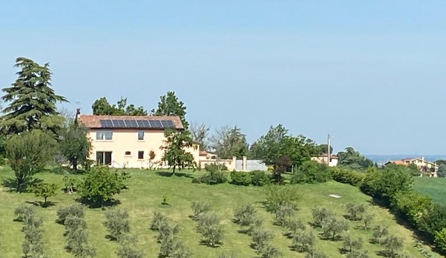Rio Sabbioso in Dozza