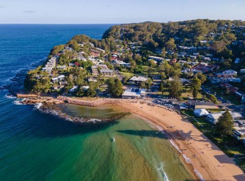 Sandalwood in Avoca Beach