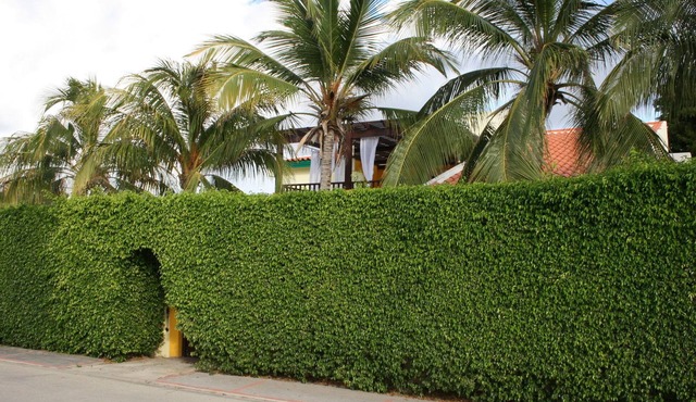 Secure And Private Villa With Pool/Hot Tub Jacuzzi In Palm Beach Village