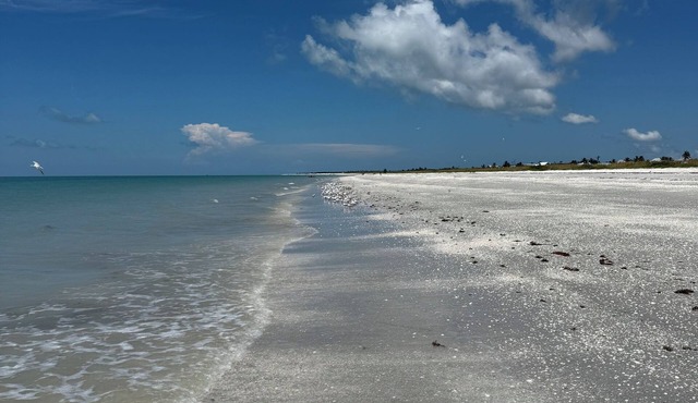 Sleeps 10 - Available Year Round - Huge Private Home