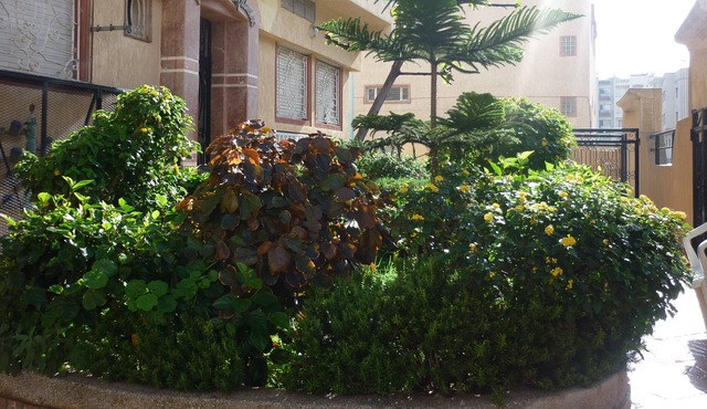 Spacious apartment - 84m2- 200m of the ocean in Morocco Eljadida in El Jadida