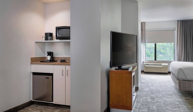 SpringHill Suites by Marriott Charleston N./Ashley Phosphate