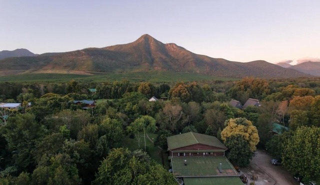 Storms River Forest Lodge in Stormsrivier