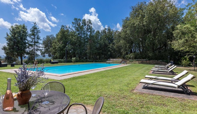Surrounded by greenery and nature, a newly restored villa and an annex ideal for a group up to 14 pe in Murlo
