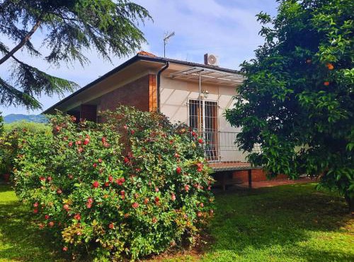 Versillia Olive Residence