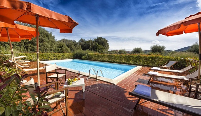 Villa overlooking the vineyards