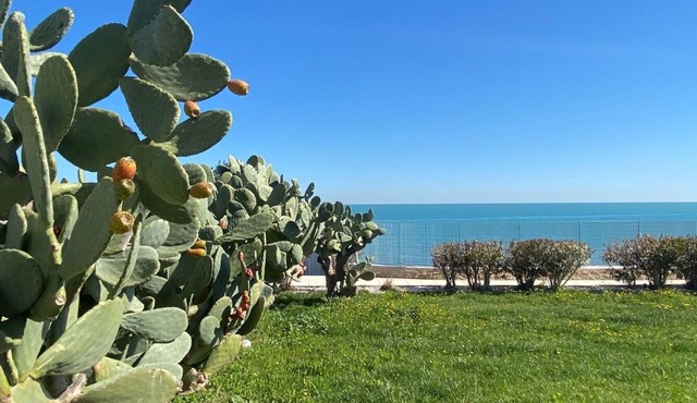 Villa with Private Entrance by the Sea in Trani