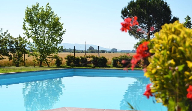 Wonderful private villa for 12 guests with private pool, A/C, WIFI, TV, terrace and pets allowed
