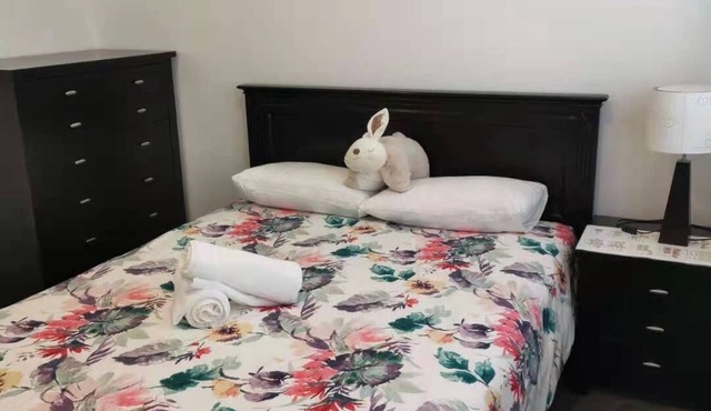Your cozy home in Auckland