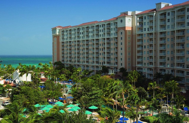 One bedroom condo with full kitchen available on the beach January 14 - 21, 2023