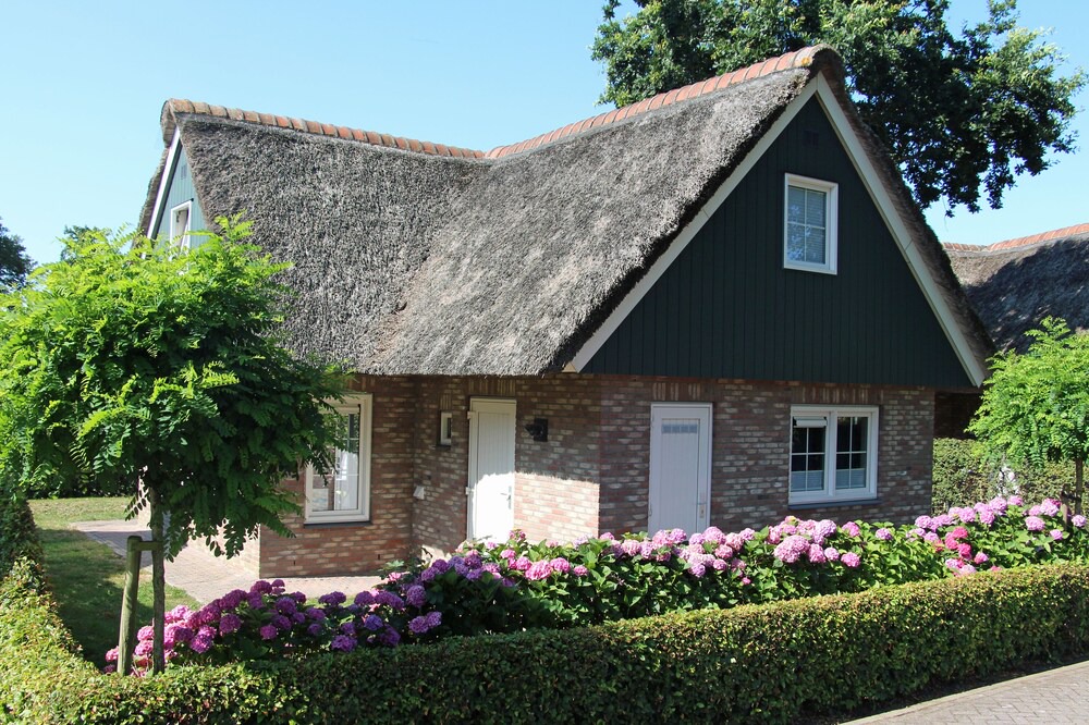 Photo of Outdoor in Sint Maartenszee