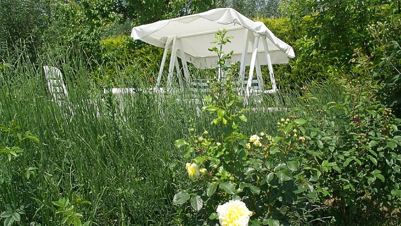 Photo of Outdoor in Cortona