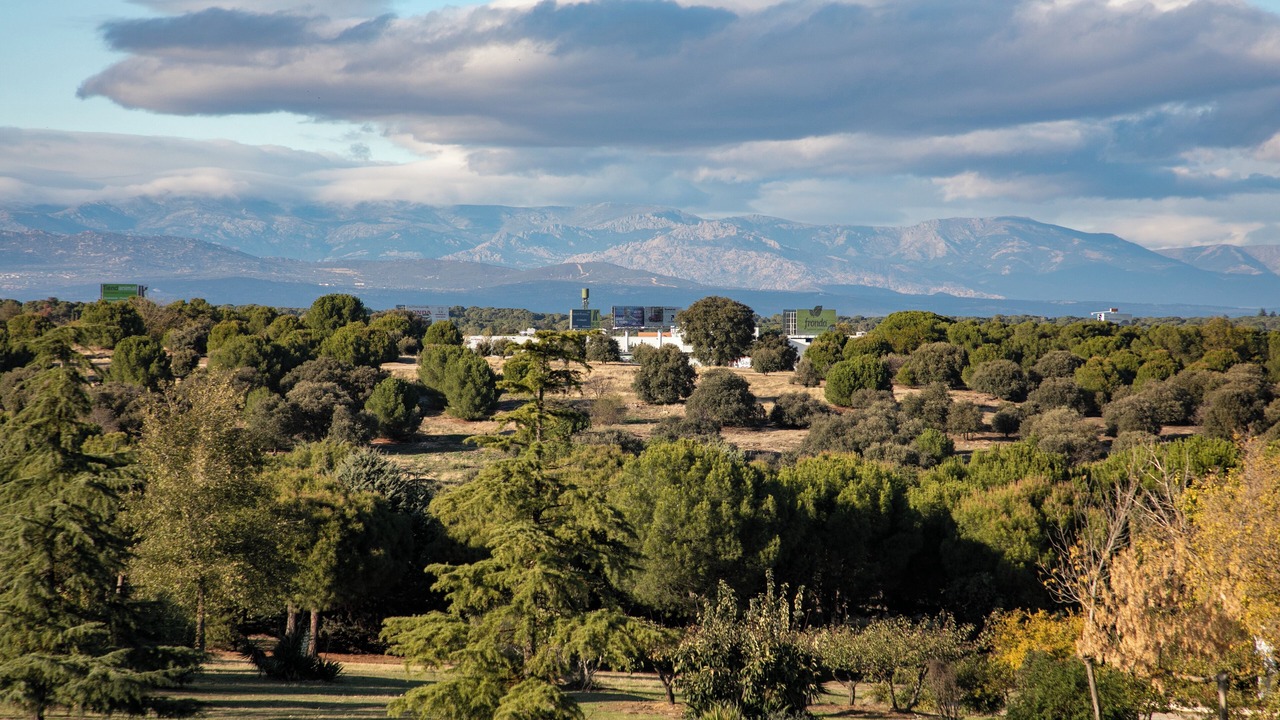 Photo of Outdoor in Pozuelo de Alarcon
