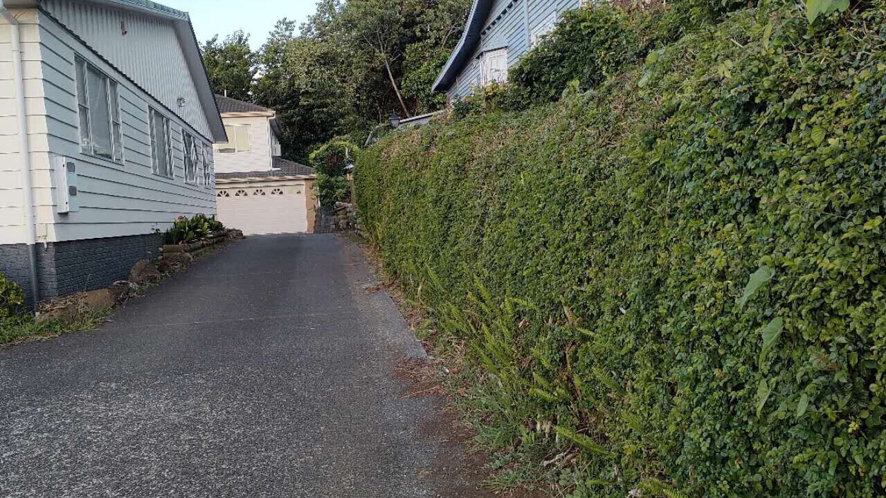 Photo of Outdoor in Mount Albert
