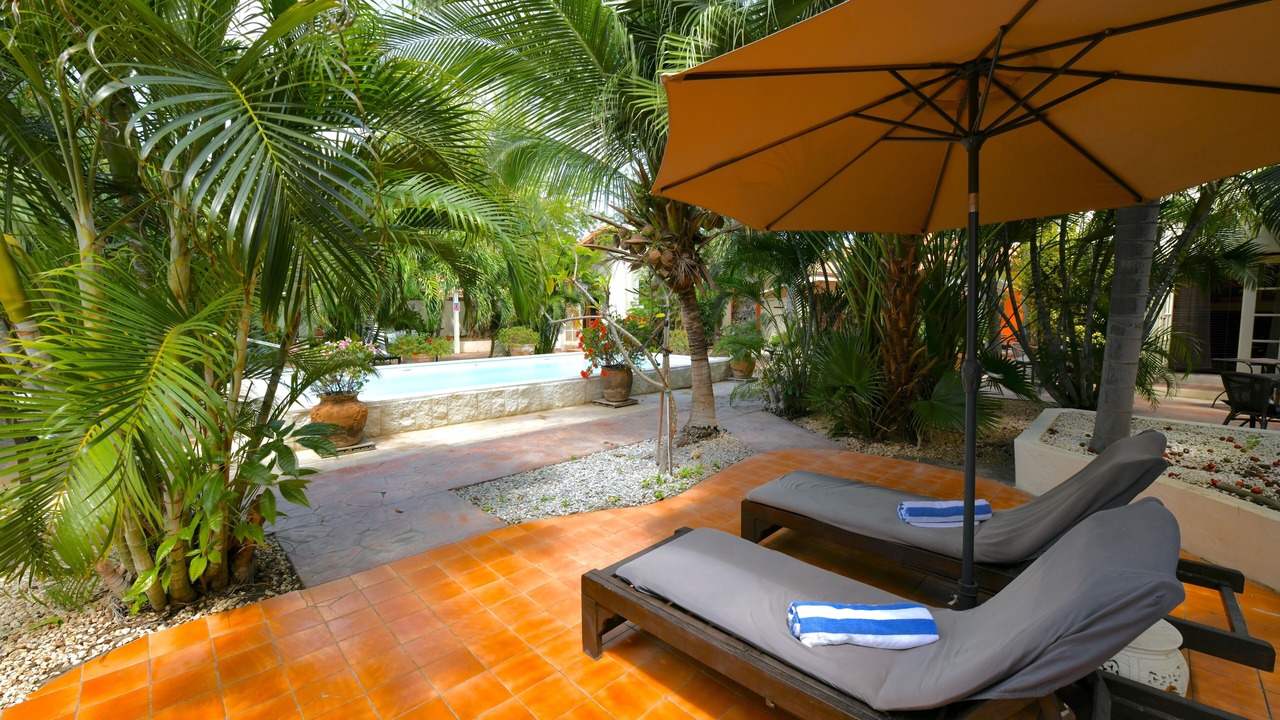 Photo of Outdoor in Oranjestad-West