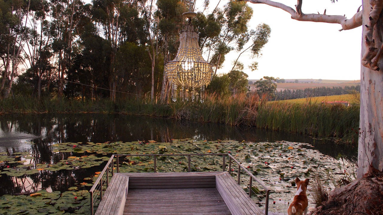 Photo of Outdoor in Stellenbosch